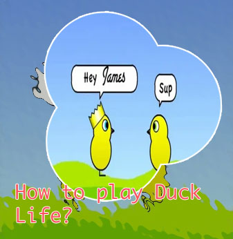 Play duck life